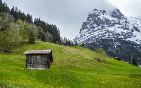 Symbolbild: Wooden shabby hut located on green hill with trees near snowy mountain in highlands in countryside against gray sky in nature