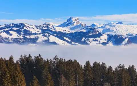 Symbolbild: Idyllic winter landscape showcasing snowy peaks and evergreen trees in Morschach, Switzerland.