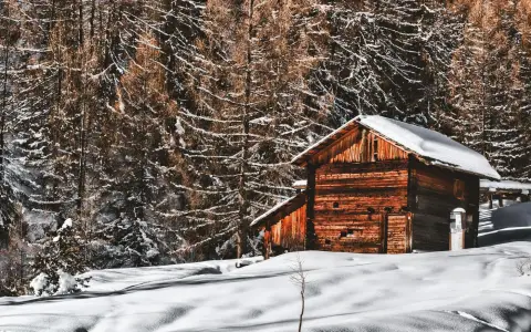 Symbolbild: A rustic wooden cabin surrounded by snowy trees in a serene winter forest setting.