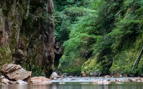 Symbolbild: Explore the serene beauty of a verdant canyon in Río Negro, Argentina, showcasing nature's tranquility.