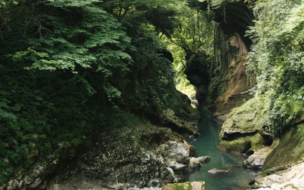 Symbolbild: A serene river flows through a lush, tree-lined gorge, showcasing nature's beauty.