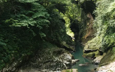 Symbolbild: A serene river flows through a lush, tree-lined gorge, showcasing nature's beauty.